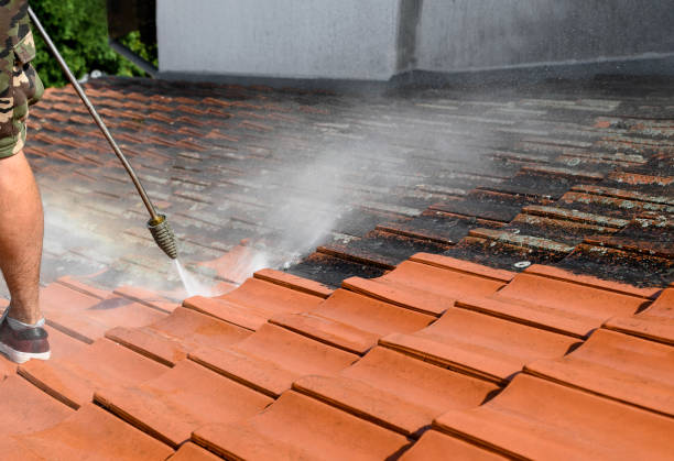 Best Sidewalk Pressure Washing  in Denmark, WI