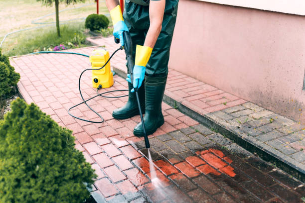 Roof Power Washing Services in Denmark, WI