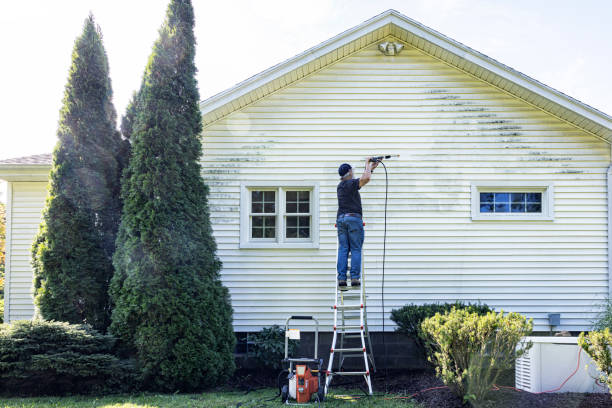 Roof Power Washing Services in Denmark, WI
