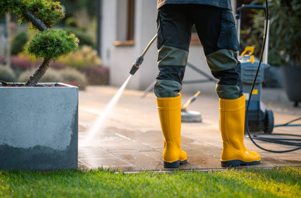 Best Local Pressure Washing Services  in Denmark, WI